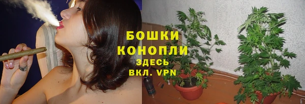 крисы Гусев
