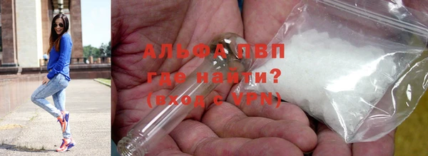 ПСИЛОЦИБИНОВЫЕ ГРИБЫ Гусиноозёрск