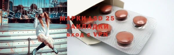 ПСИЛОЦИБИНОВЫЕ ГРИБЫ Гусиноозёрск