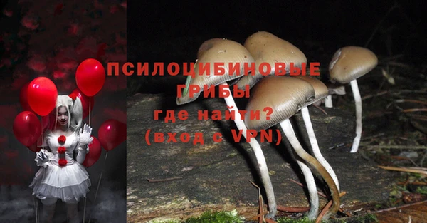 наркотики Гусь-Хрустальный